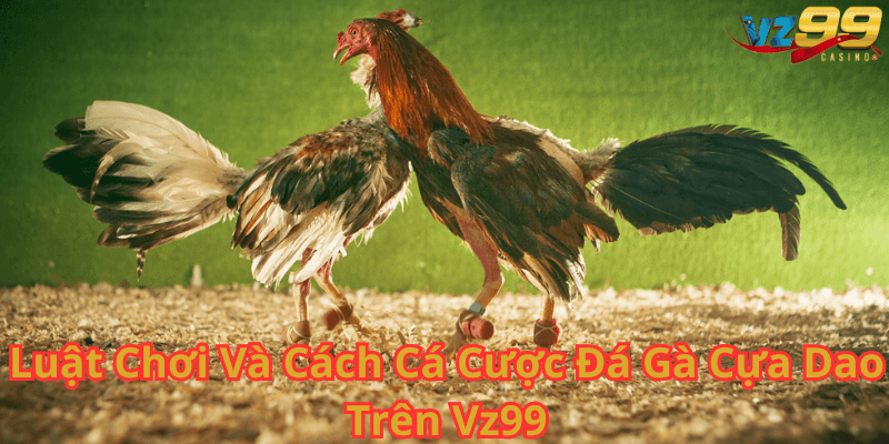 Luật Chơi Và Cách Cá Cược Đá Gà Cựa Dao Trên Vz99